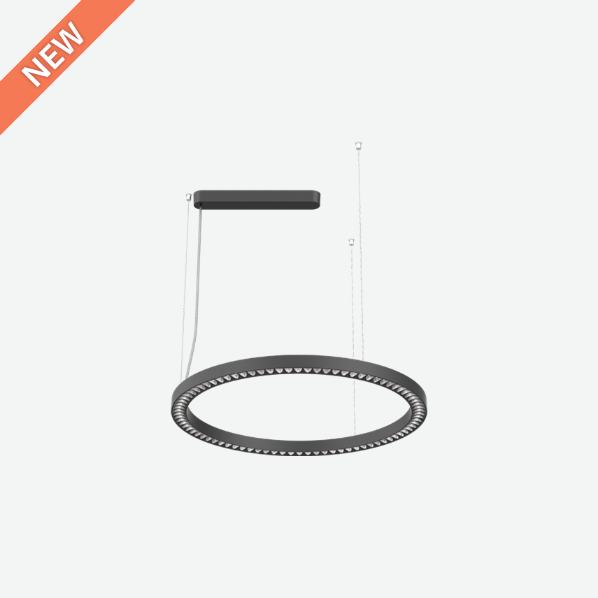 Hula D65 Main 855X855